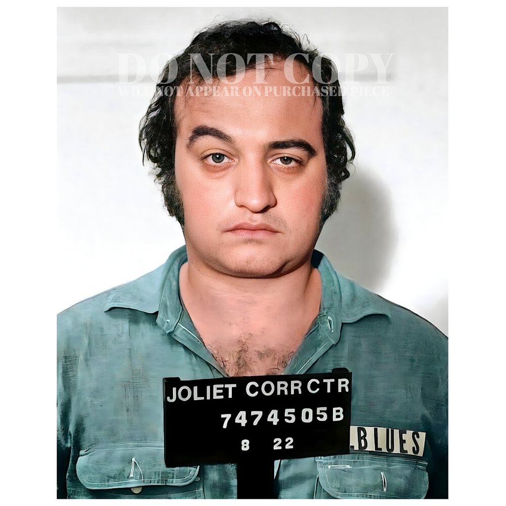 John Belushi Mugshot Photograph 8 X 10 | Blues Brothers Mug Shot | Poster Print
